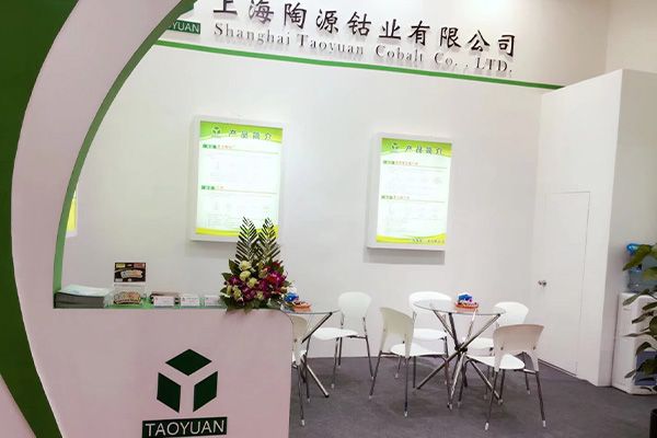 Taoyuan Cobalt at CHINACOAT 2017