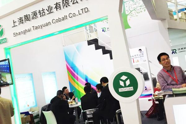 Taoyuan Cobalt at CHINACOAT 2015