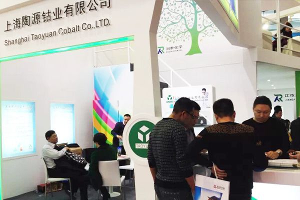 Taoyuan Cobalt at CHINACOAT 2015